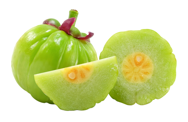 Estratto di garcinia cambogiana